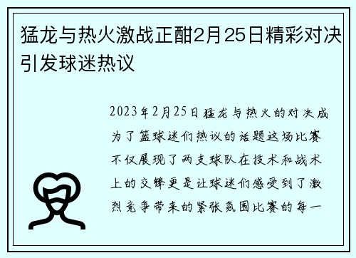 猛龙与热火激战正酣2月25日精彩对决引发球迷热议