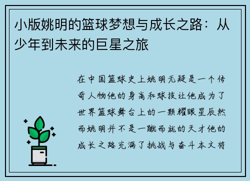 小版姚明的篮球梦想与成长之路：从少年到未来的巨星之旅