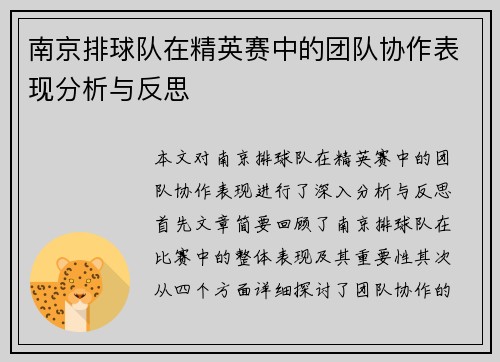 南京排球队在精英赛中的团队协作表现分析与反思