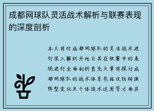 成都网球队灵活战术解析与联赛表现的深度剖析